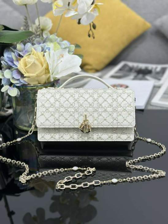 Picture of Dior Handbags _SKUfw239305754fw